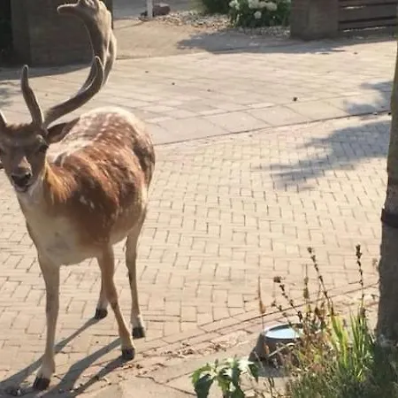 Queens Romantic Beachhouse